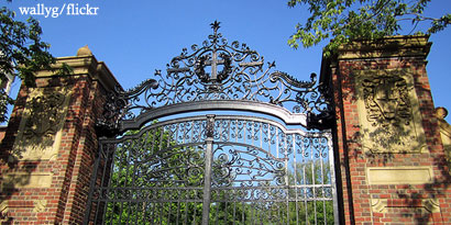 gate